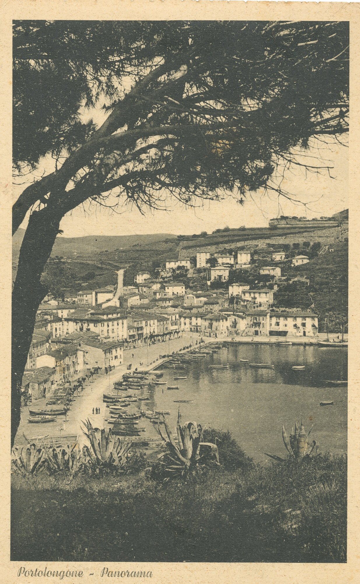Portolongone - Panorama con pini