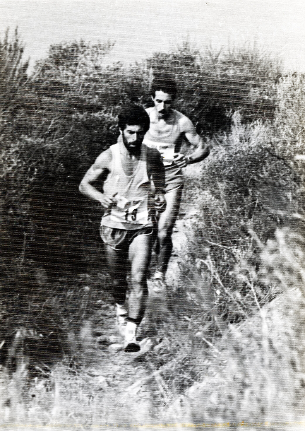 Gara di corsa a Pomonte