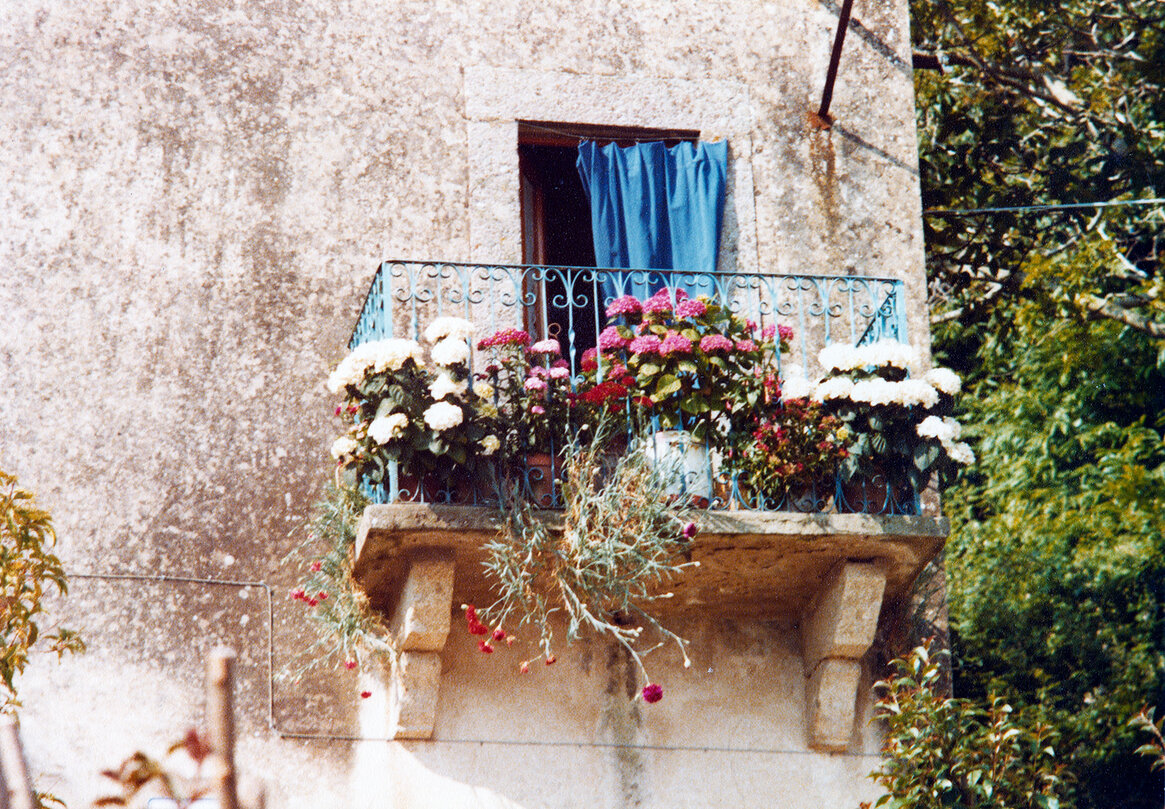 Terrazzino fiorito a Marciana