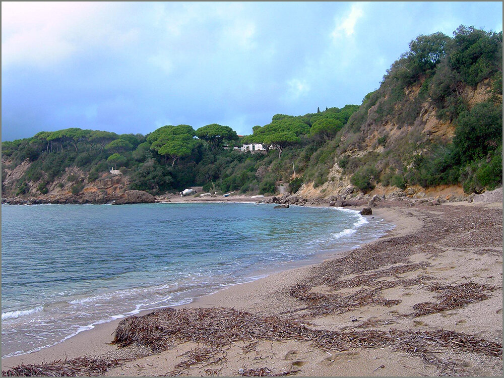 Spiaggia di Zuccale con posidonia