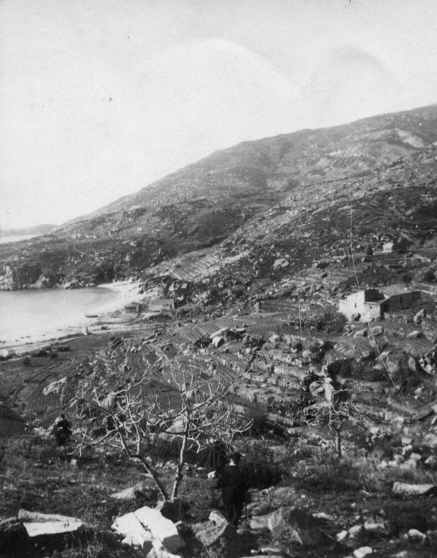 Cavoli - Veduta della baia con terrazzamenti