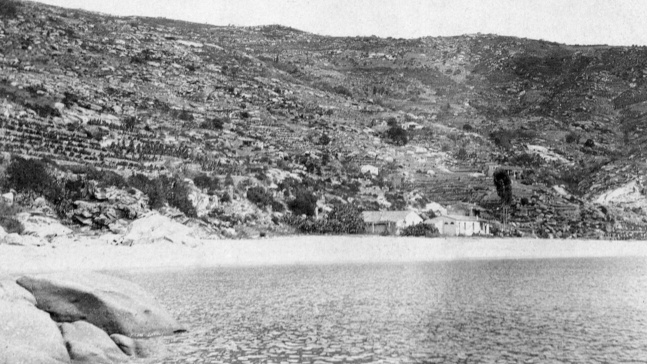 Cavoli - Veduta della spiaggia