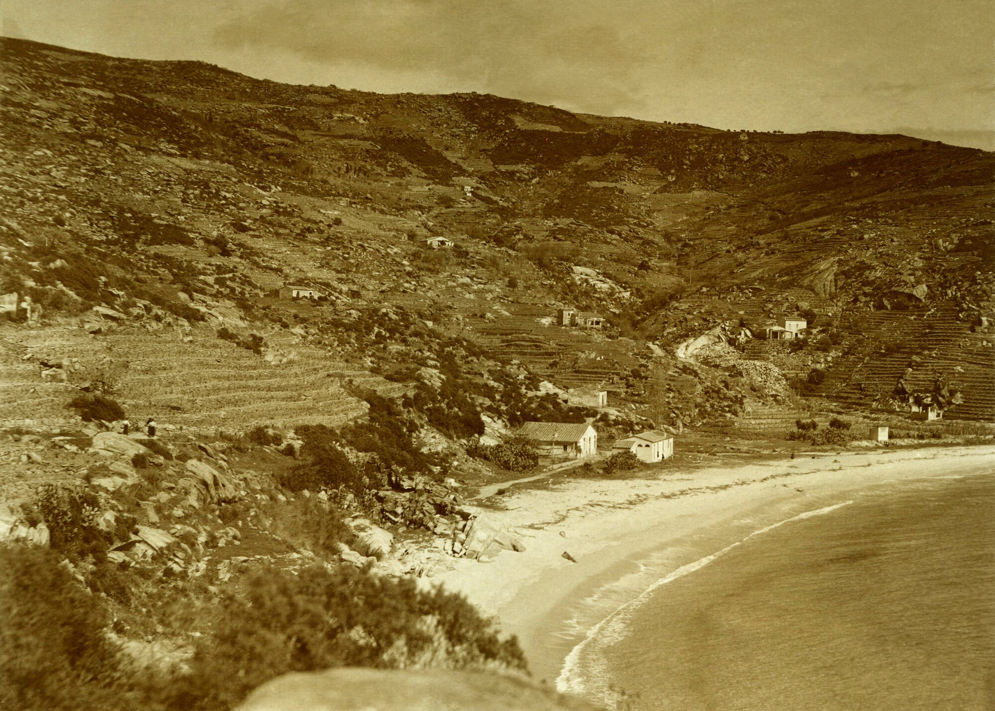 Cavoli - La spiaggia e il colle retrostante
