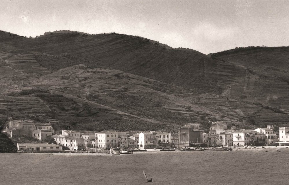 PAOLI_RENZO_FD_ADME_140-Il paese visto dal mare-Marina di Campo.jpg