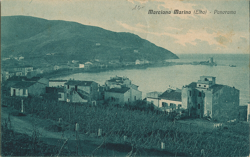 Marciana Marina vista da San Pietro - Vigneti a ridosso delle case 